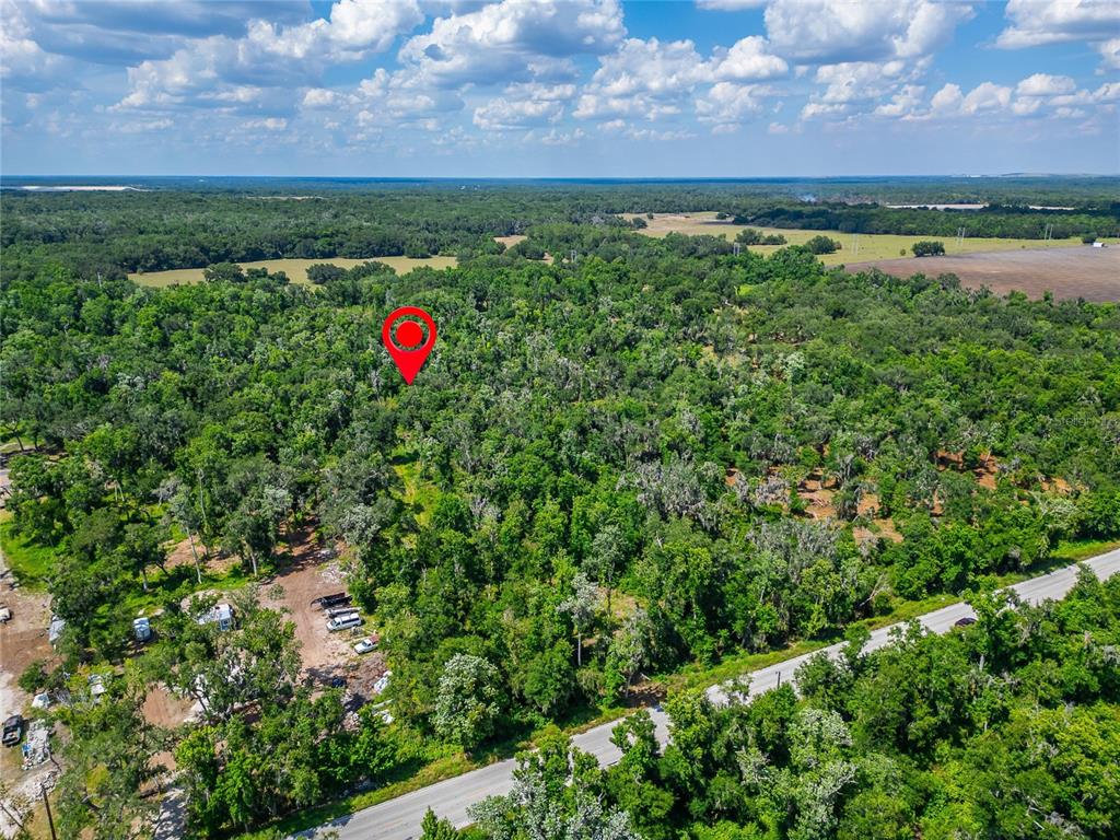 672 Highway Lithia Lithia, FL 33547 - Photo 2 of 24