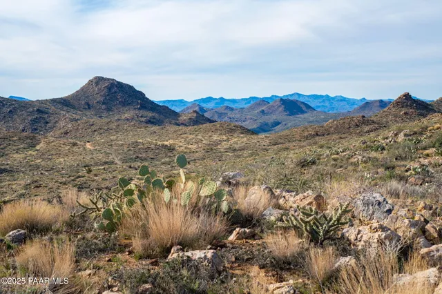 a view of a forest with a forest