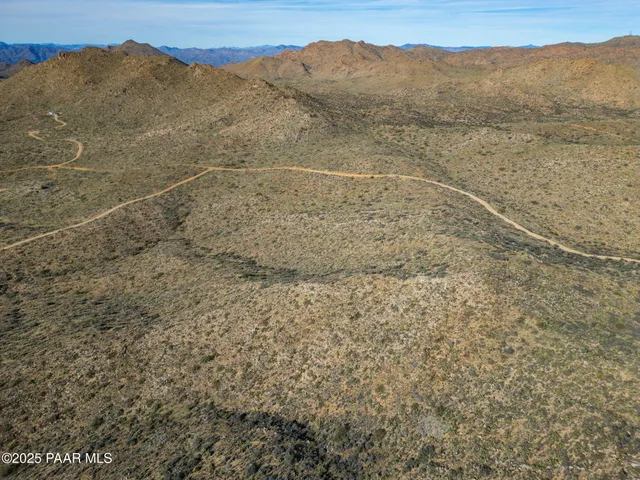 a view of a dry yard