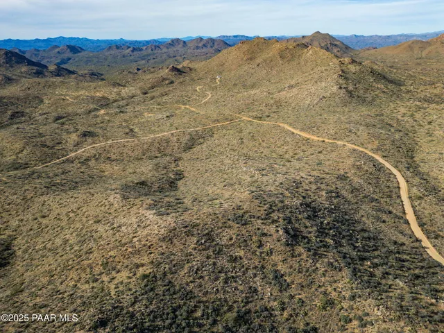a view of a dry yard