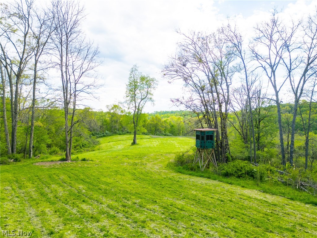 69800 Skull Fork Road Freeport, OH 43973 - Photo 5 of 50