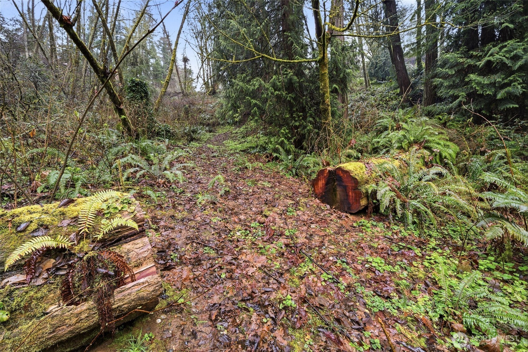 6830 Norma Beach Road Edmonds, WA 98026 - Photo 26 of 29