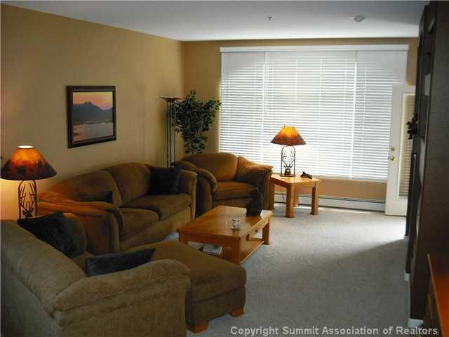 110 Beaver Lodge Road, Unit 103 Frisco, CO 80443 - Photo 5 of 25 a living room with furniture and a lamp