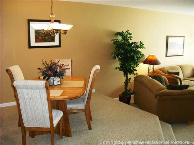110 Beaver Lodge Road, Unit 103 Frisco, CO 80443 - Photo 7 of 25 a living room with furniture and a potted plant