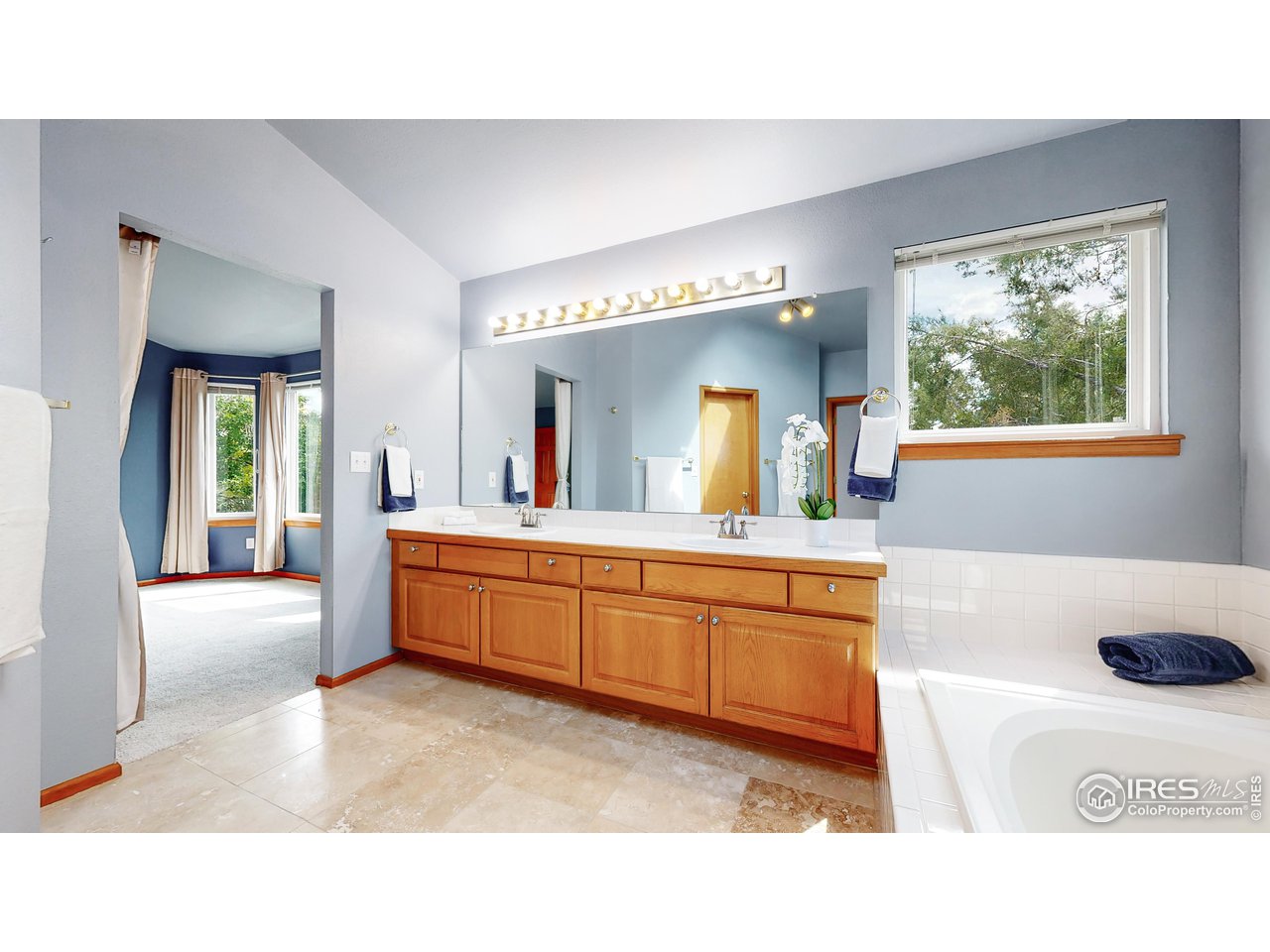 9951 South Spring Hill Place Highlands Ranch, CO 80129 - Photo 15 of 40 a en suite bathroom with a sink a large mirror and a bathtub next to a window