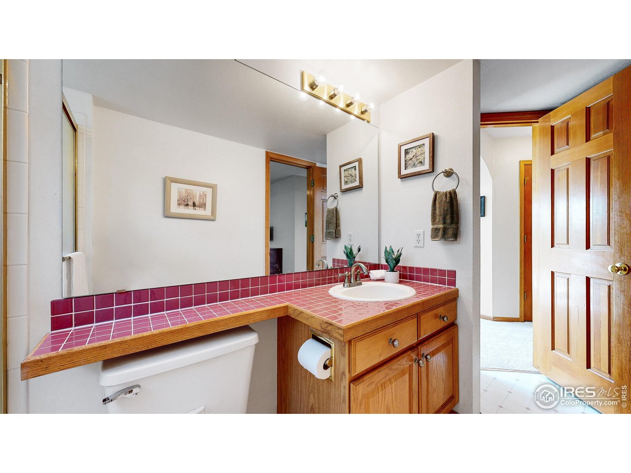 9951 South Spring Hill Place Highlands Ranch, CO 80129 - Photo 29 of 40 a bathroom with a sink double vanity and a mirror