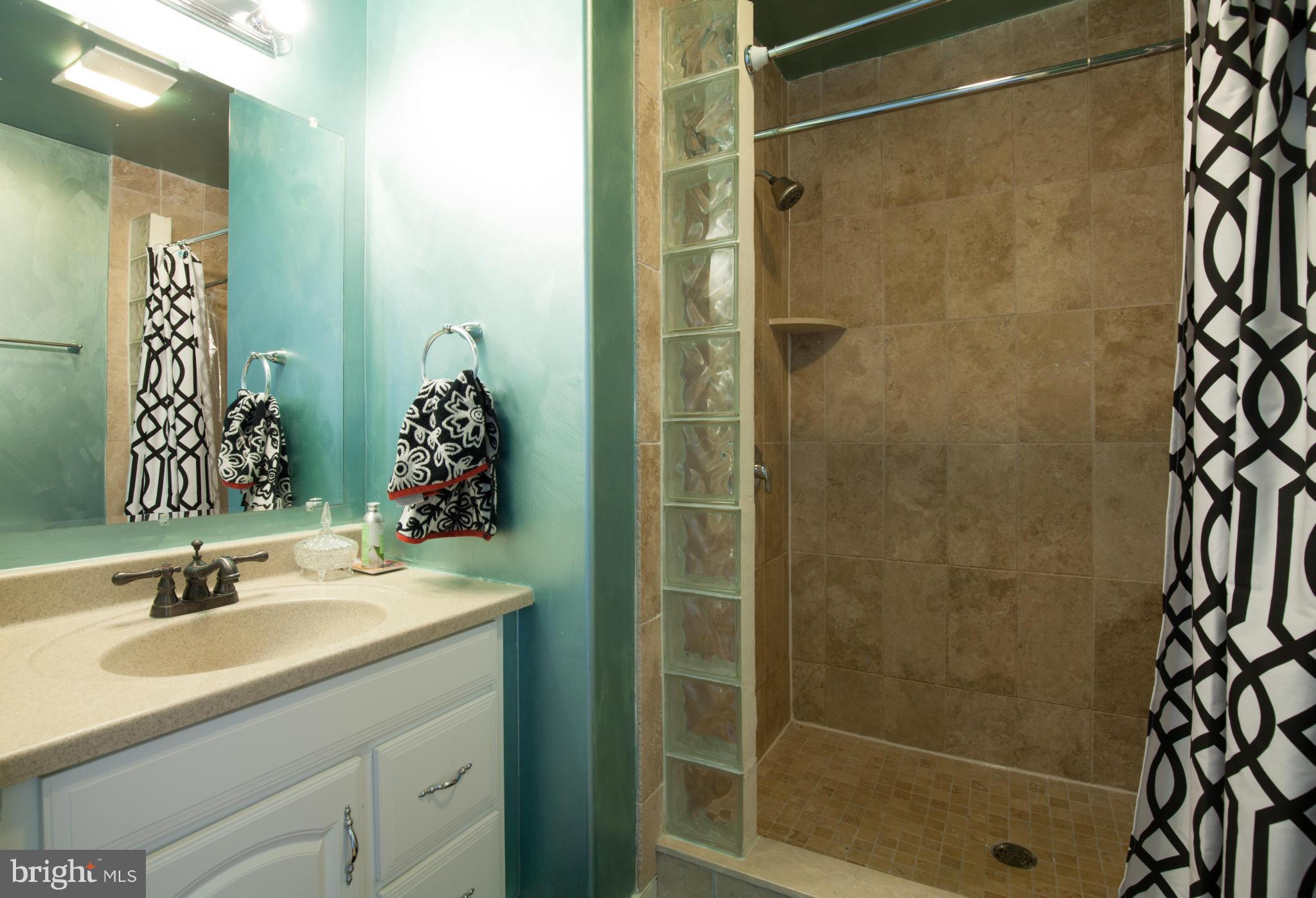 1448 Cooksie Street Baltimore, MD 21230 - Photo 14 of 21 Bath (Master)