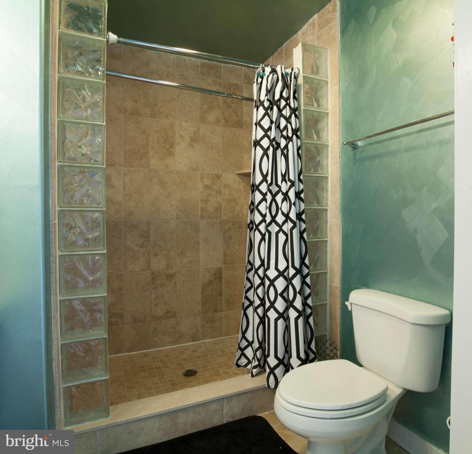 1448 Cooksie Street Baltimore, MD 21230 - Photo 15 of 21 Bath (Master)