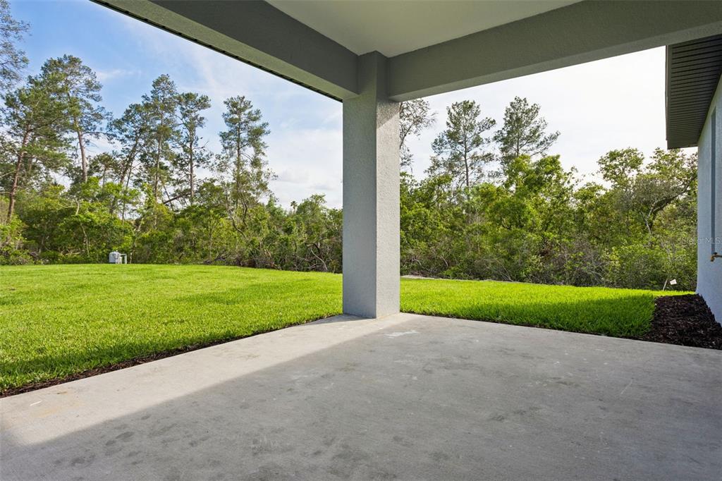 9412 Noddy Tern Road Weeki Wachee, FL 34613 - Photo 21 of 24