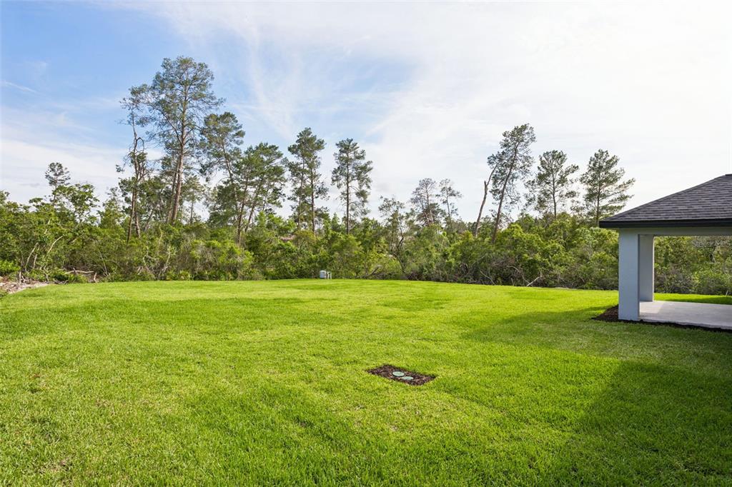9412 Noddy Tern Road Weeki Wachee, FL 34613 - Photo 24 of 24