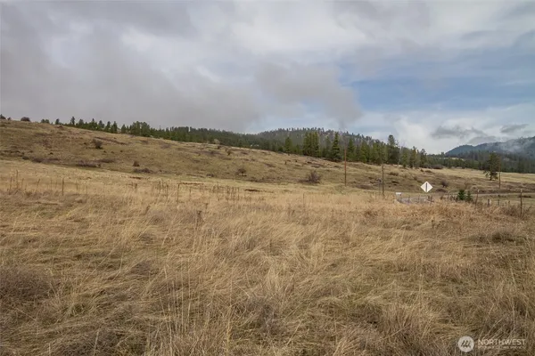 $119,000 | 30-xx Addy-Gifford Road, Rice, WA 99167