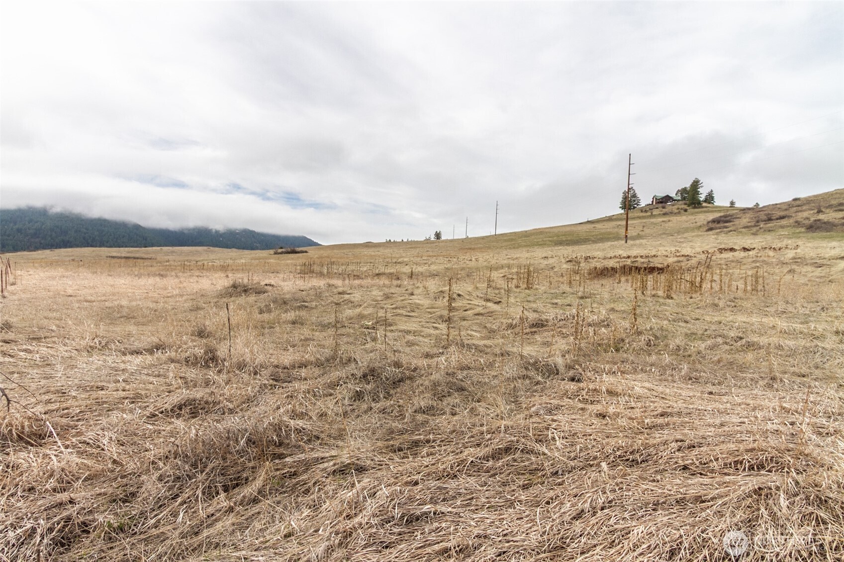 30-xx Addy-Gifford Road Rice, WA 99167 - Photo 4 of 20