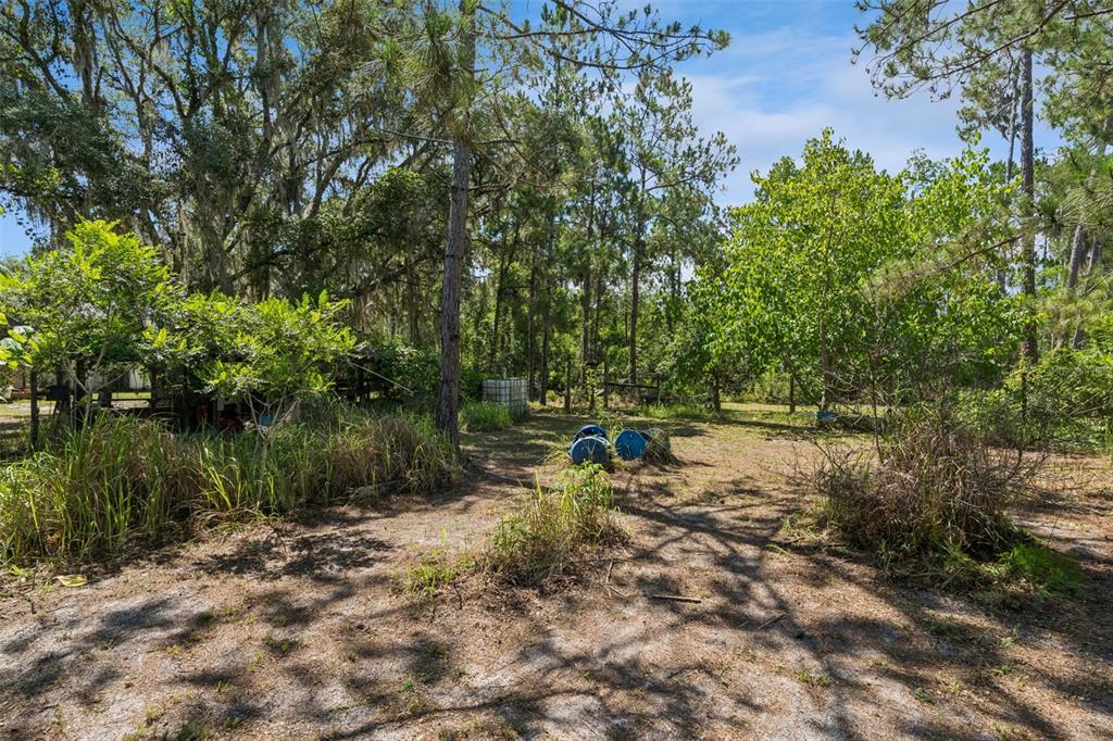 5500 Ventura Acres Road Groveland, FL 34736 - Photo 31 of 39