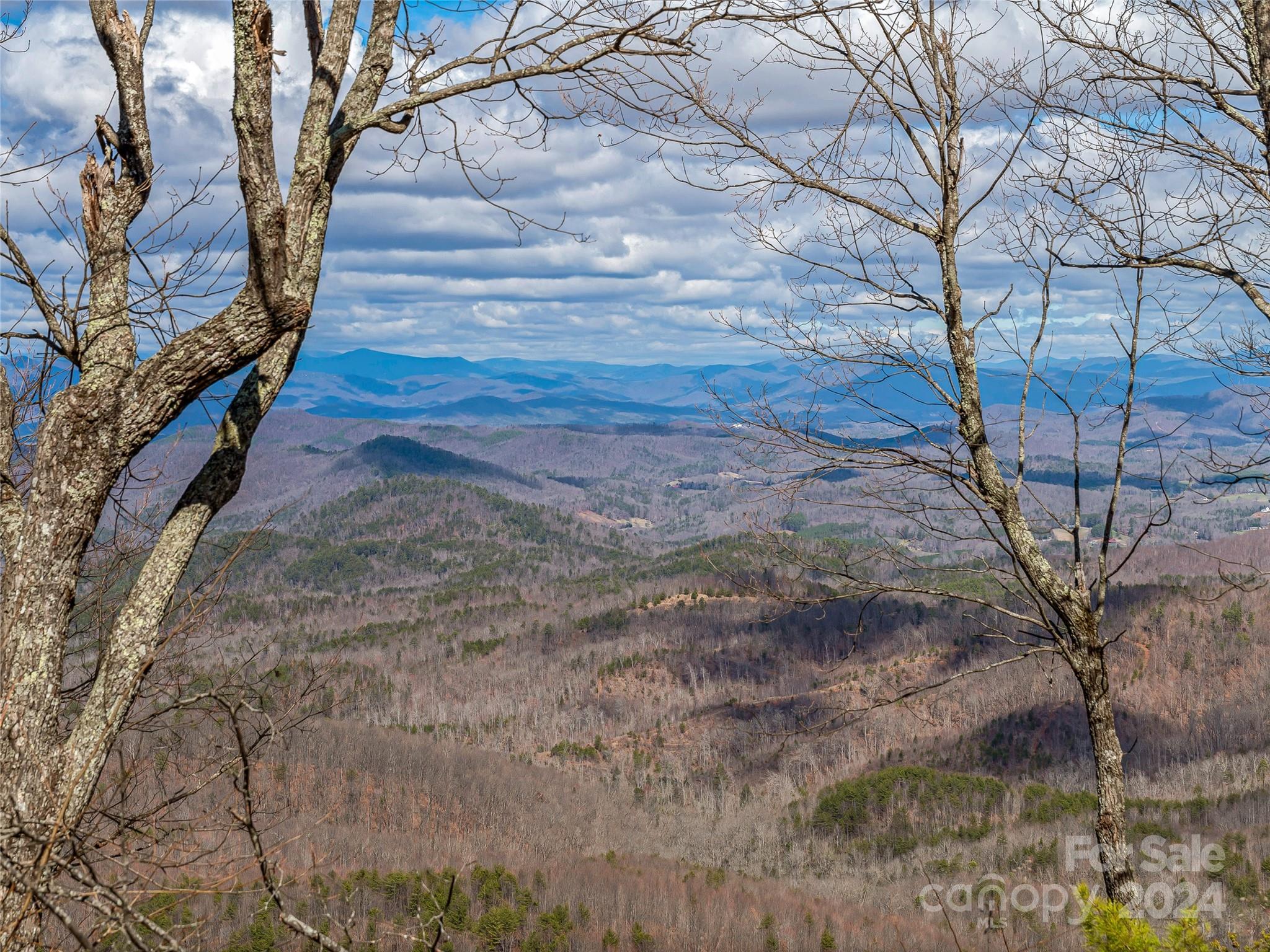0 Devin Ridge Ln Union Mills, Unit 96 Union Mills, NC 28167 - Photo 1 of 30 a backyard of a house with lots of green space