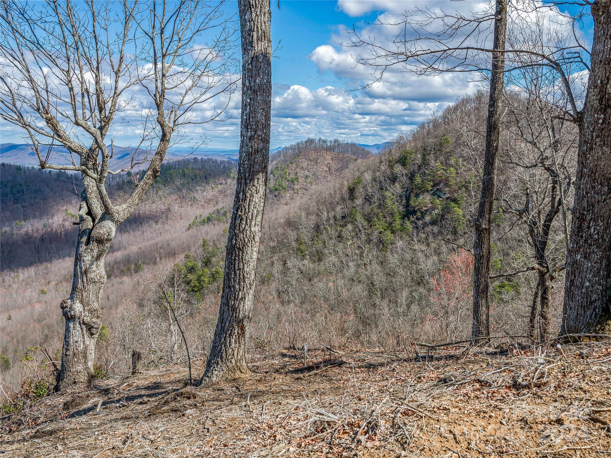 0 Devin Ridge Ln Union Mills, Unit 96 Union Mills, NC 28167 - Photo 11 of 30 a view of a dry yard with trees