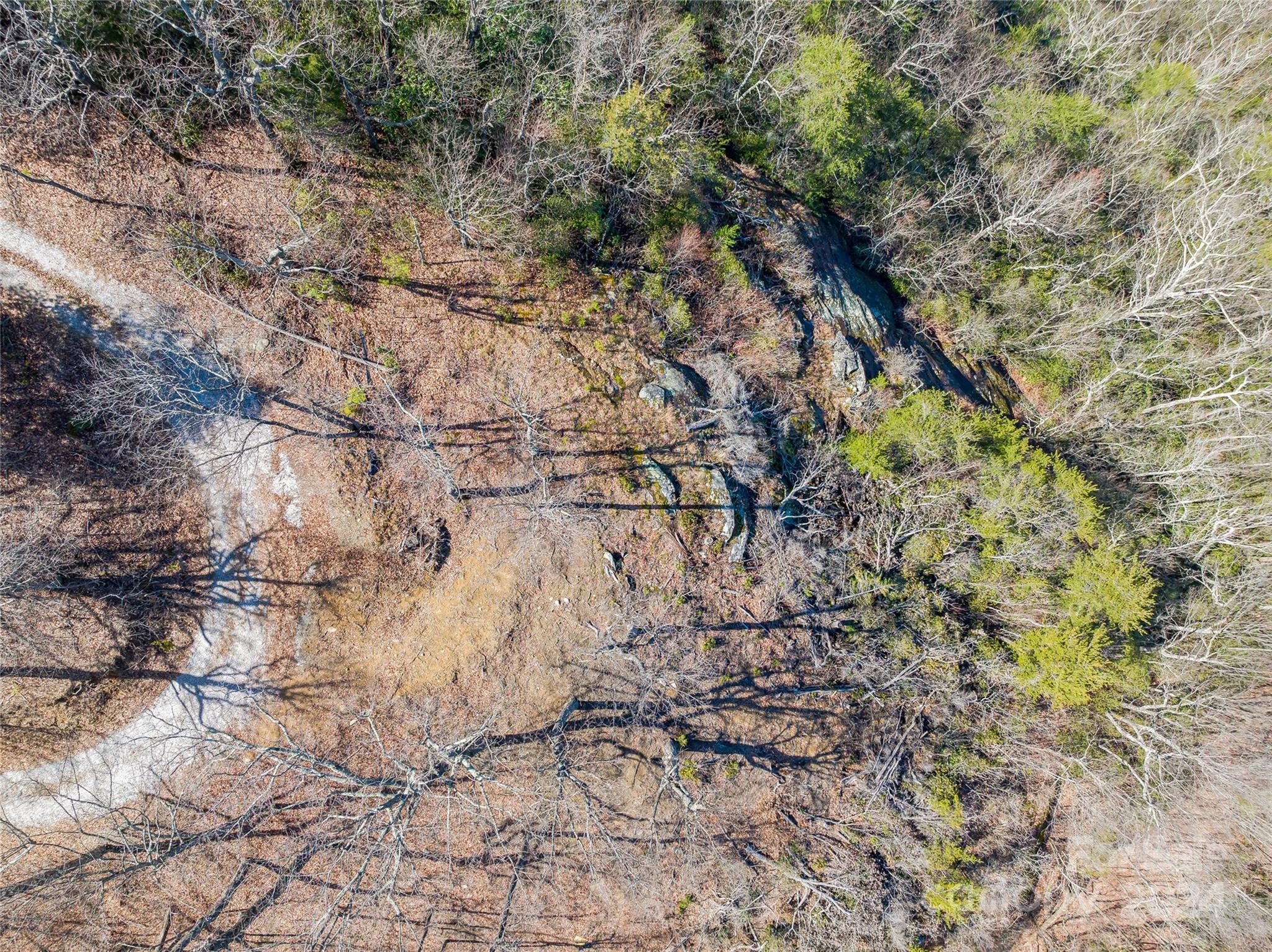 0 Devin Ridge Ln Union Mills, Unit 96 Union Mills, NC 28167 - Photo 12 of 30