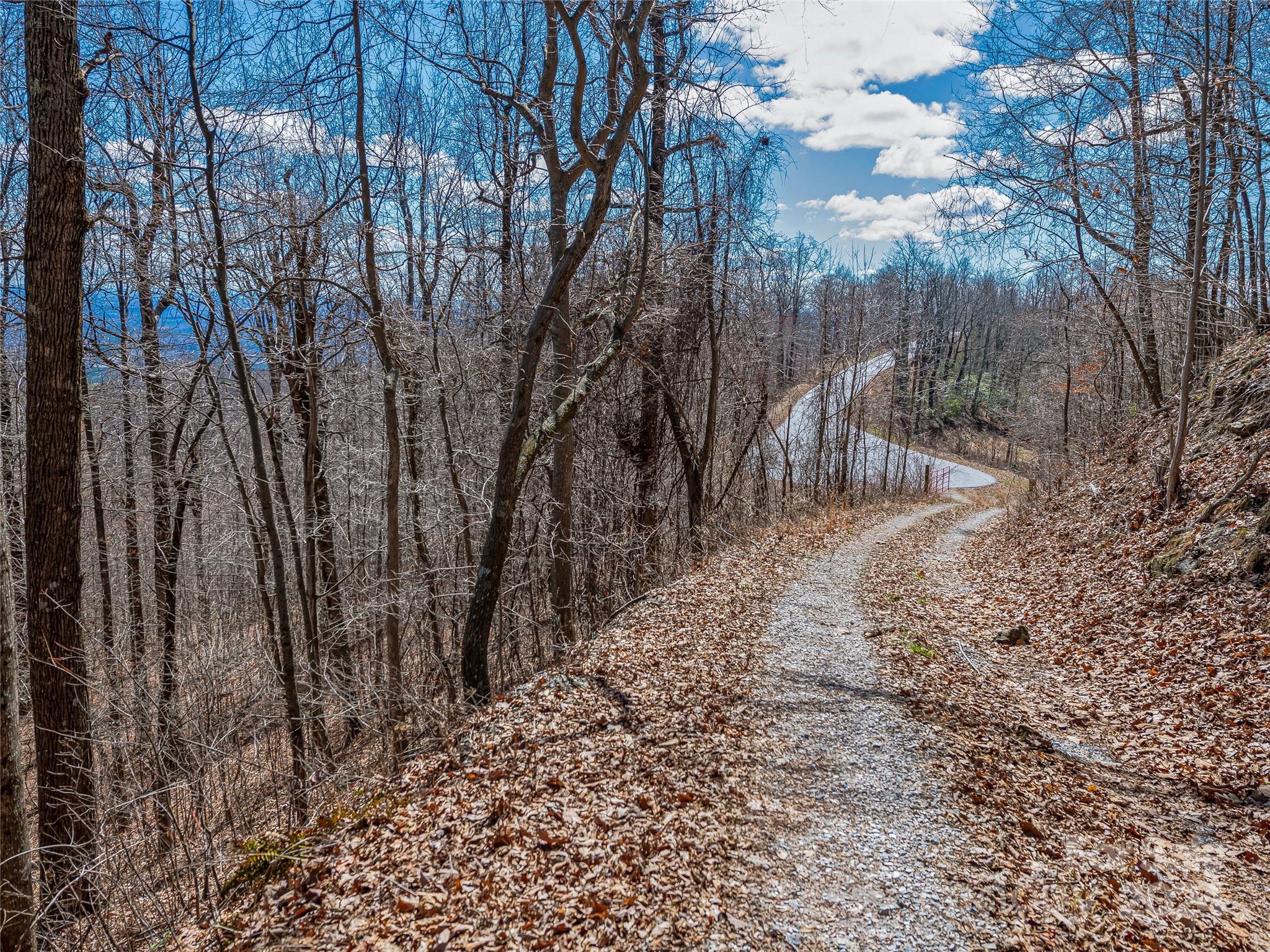 0 Devin Ridge Ln Union Mills, Unit 96 Union Mills, NC 28167 - Photo 13 of 30 a view of a yard with trees in the background