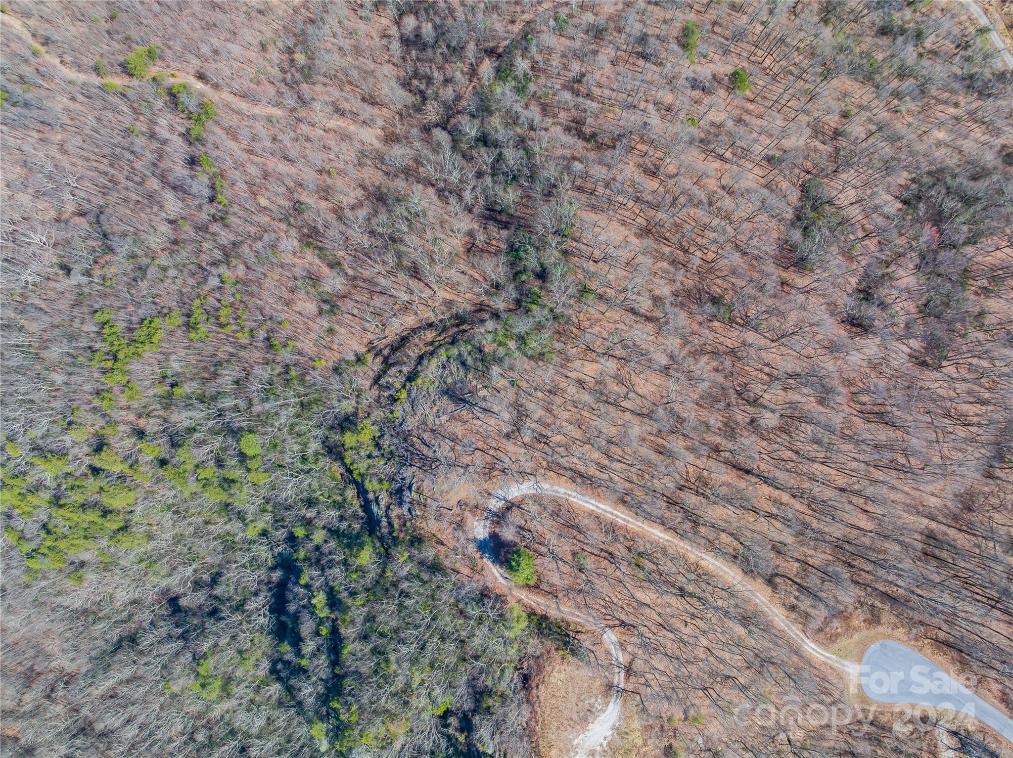 0 Devin Ridge Ln Union Mills, Unit 96 Union Mills, NC 28167 - Photo 18 of 30 a close up of a plant with a yard