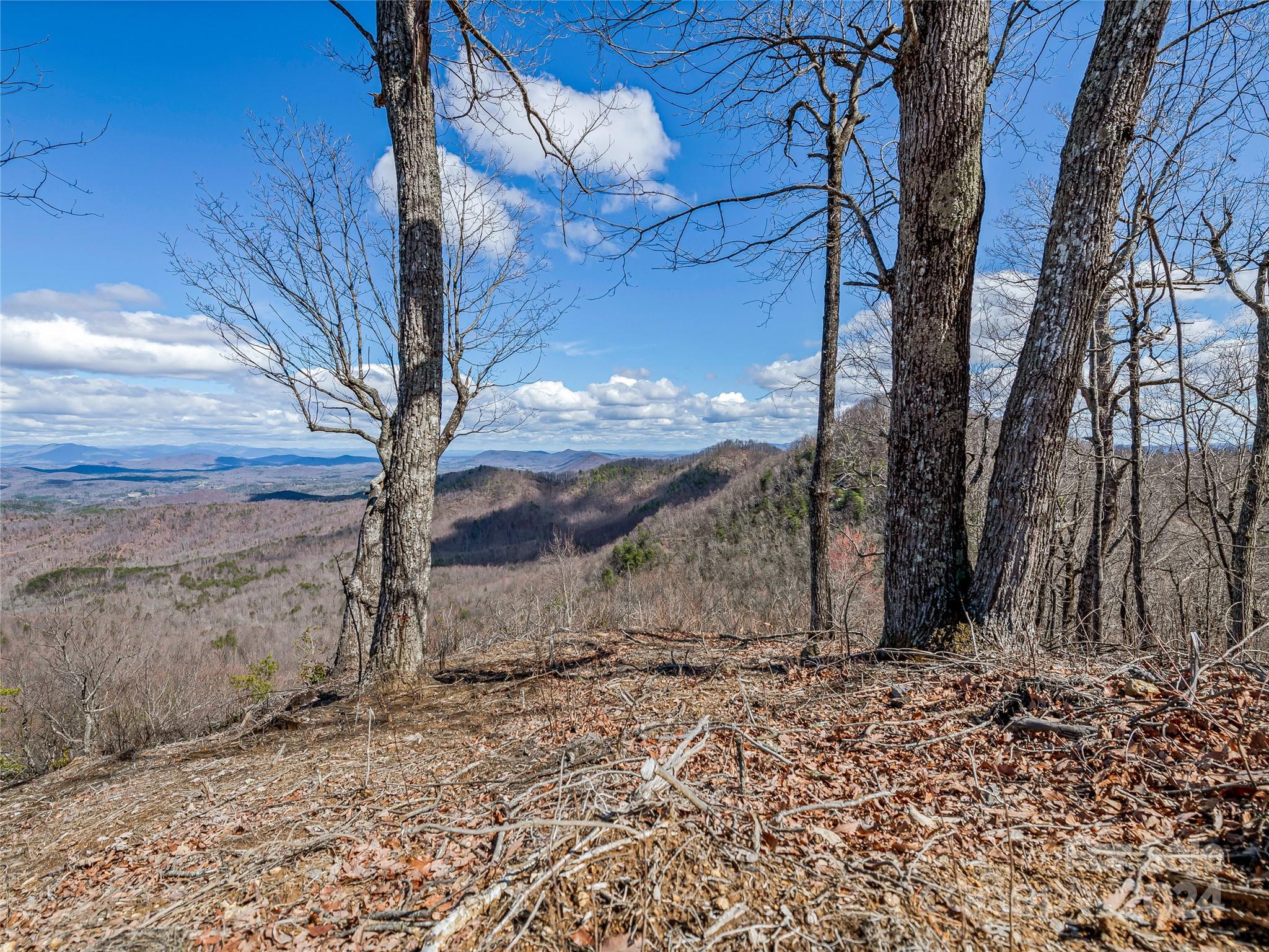 0 Devin Ridge Ln Union Mills, Unit 96 Union Mills, NC 28167 - Photo 19 of 30 a view of a backyard of the house