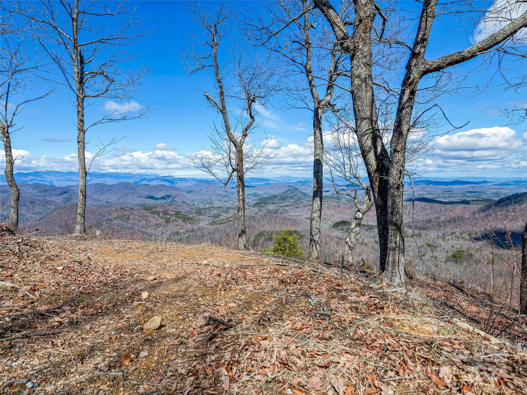 0 Devin Ridge Ln Union Mills, Unit 96 Union Mills, NC 28167 - Photo 20 of 30 a backyard of a house with large trees