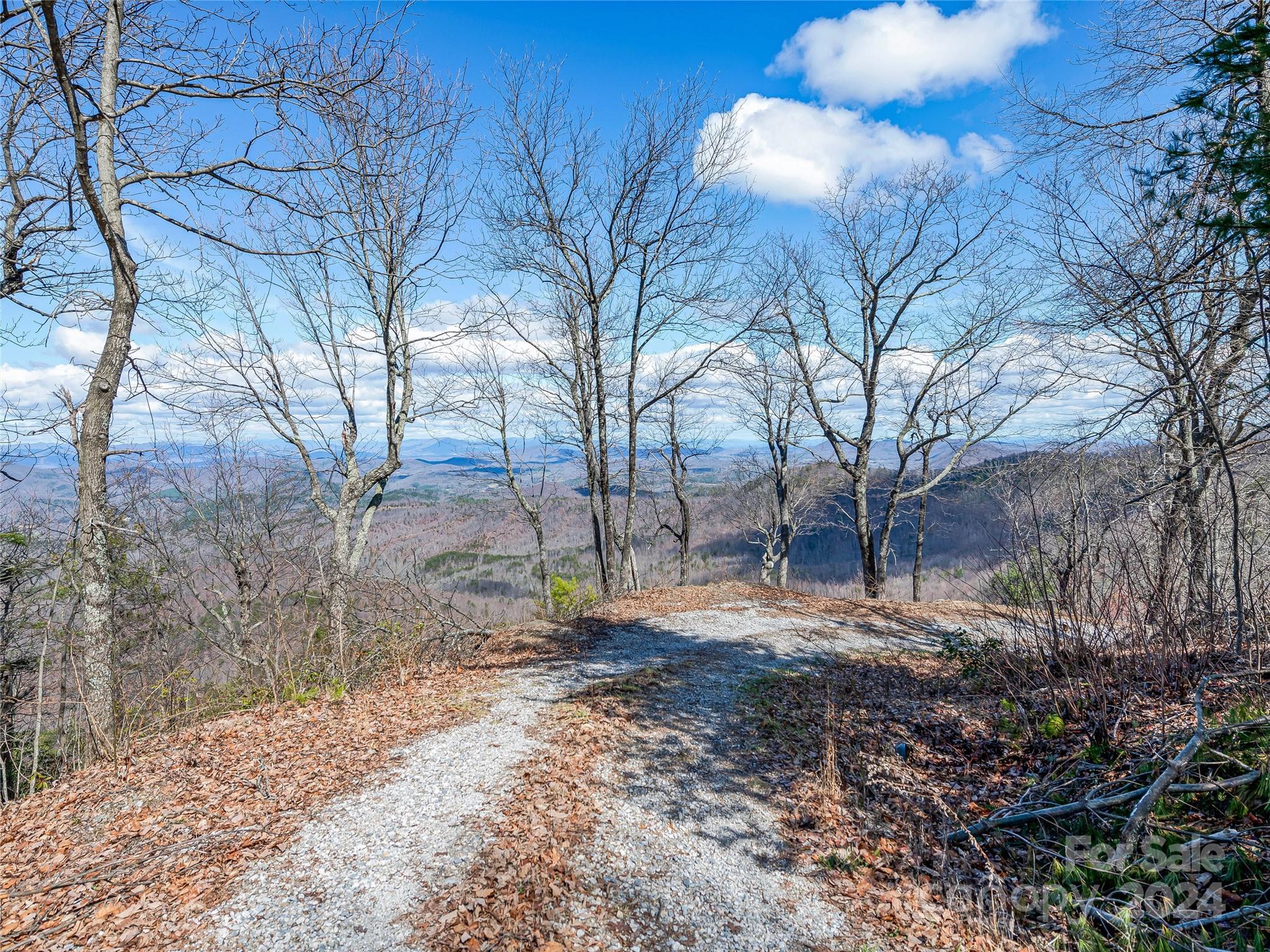 0 Devin Ridge Ln Union Mills, Unit 96 Union Mills, NC 28167 - Photo 21 of 30 a backyard of a house with lots of green space