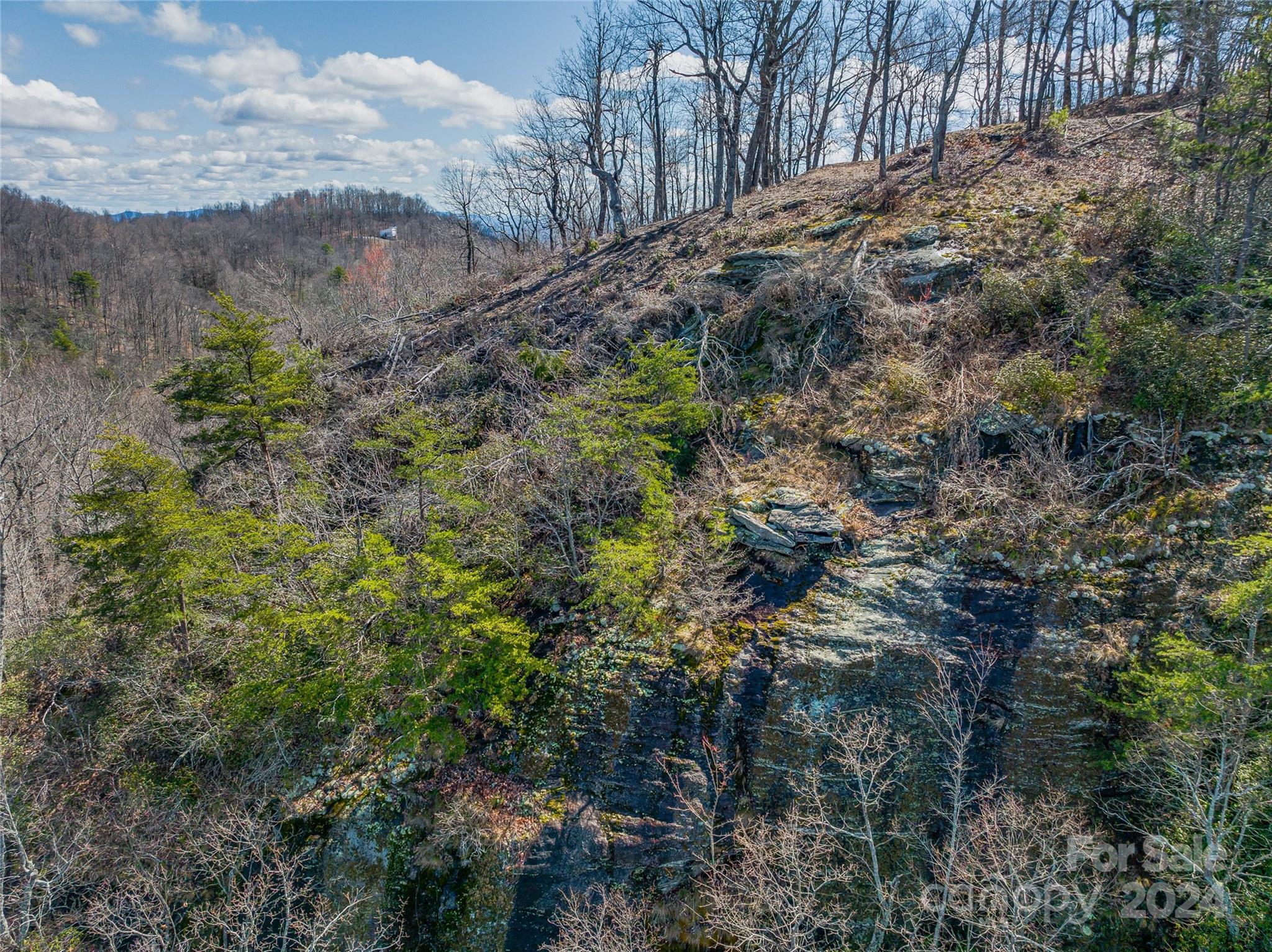 0 Devin Ridge Ln Union Mills, Unit 96 Union Mills, NC 28167 - Photo 23 of 30 a view of a dry yard with lots of bushes