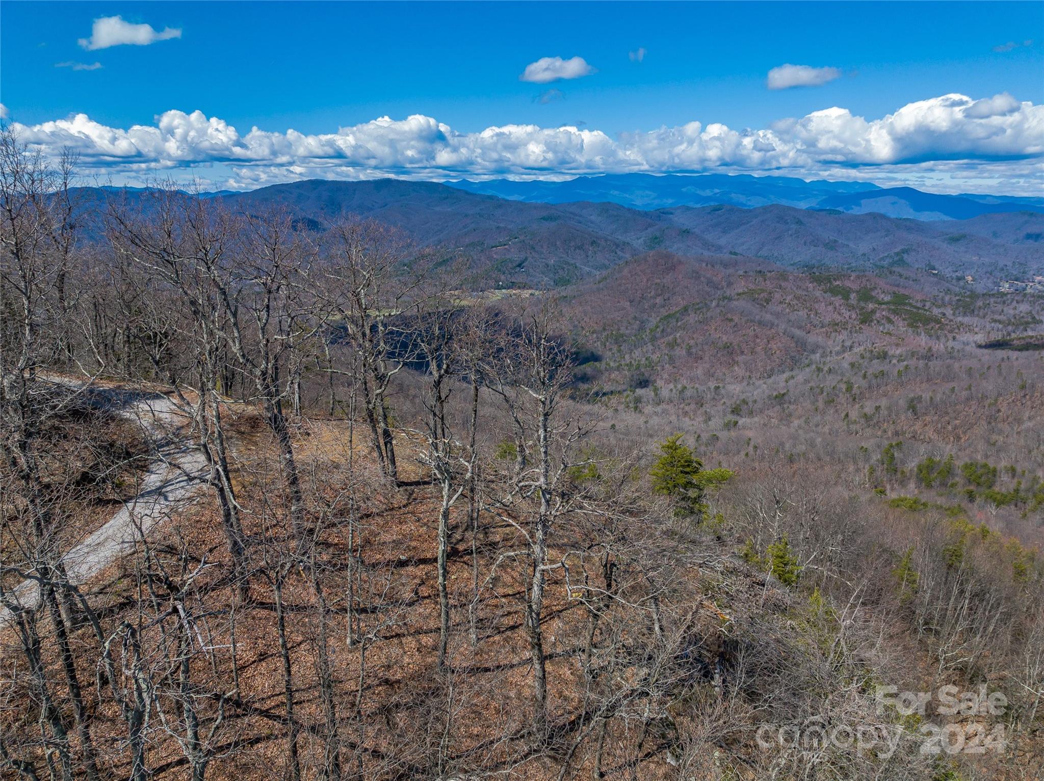 0 Devin Ridge Ln Union Mills, Unit 96 Union Mills, NC 28167 - Photo 24 of 30 a view of a yard with an ocean