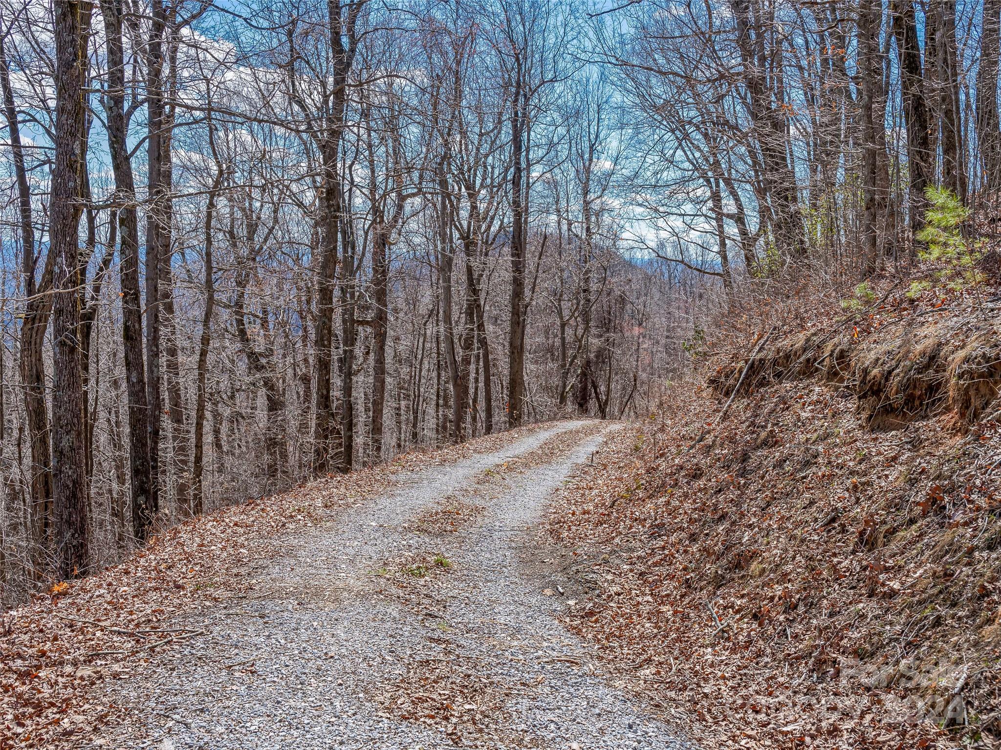 0 Devin Ridge Ln Union Mills, Unit 96 Union Mills, NC 28167 - Photo 30 of 30 a view of a yard with trees