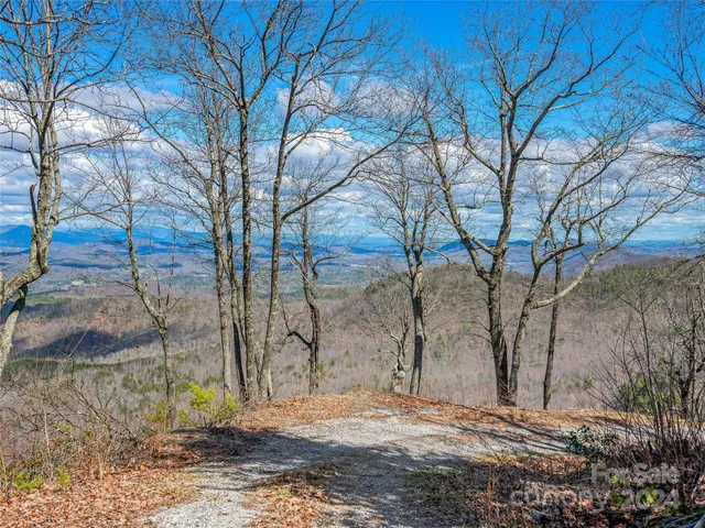 a view of a backyard of the house