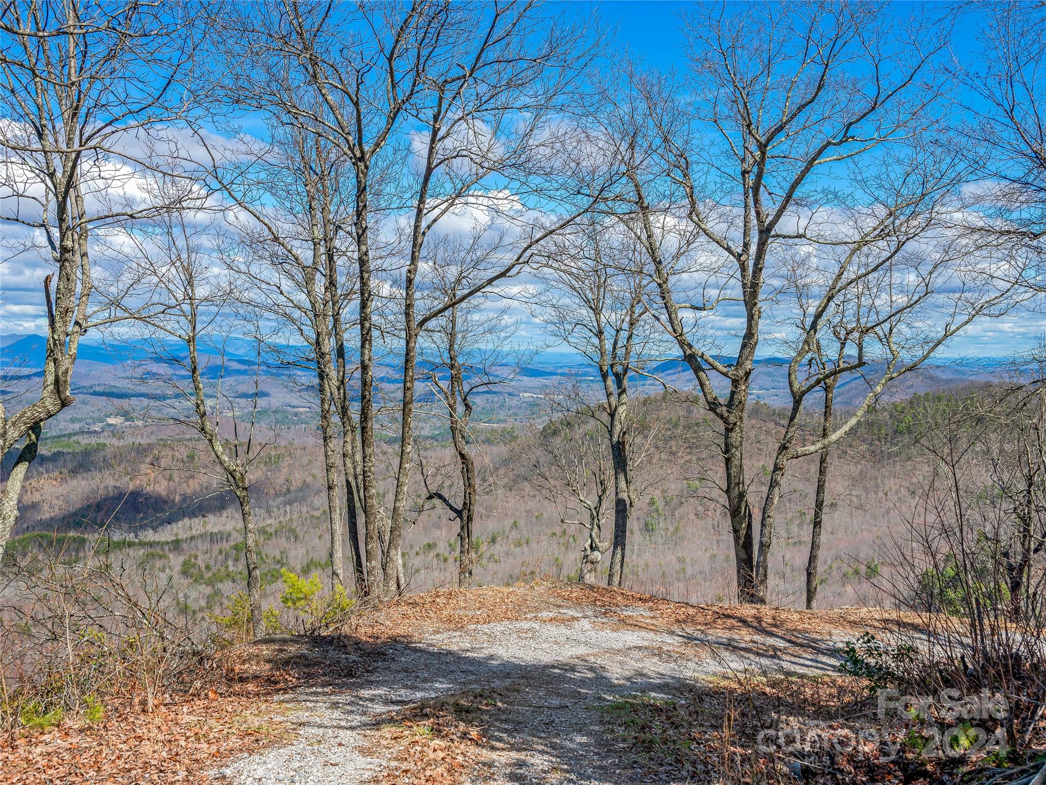 0 Devin Ridge Ln Union Mills, Unit 96 Union Mills, NC 28167 - Photo 5 of 30 a view of a backyard of the house
