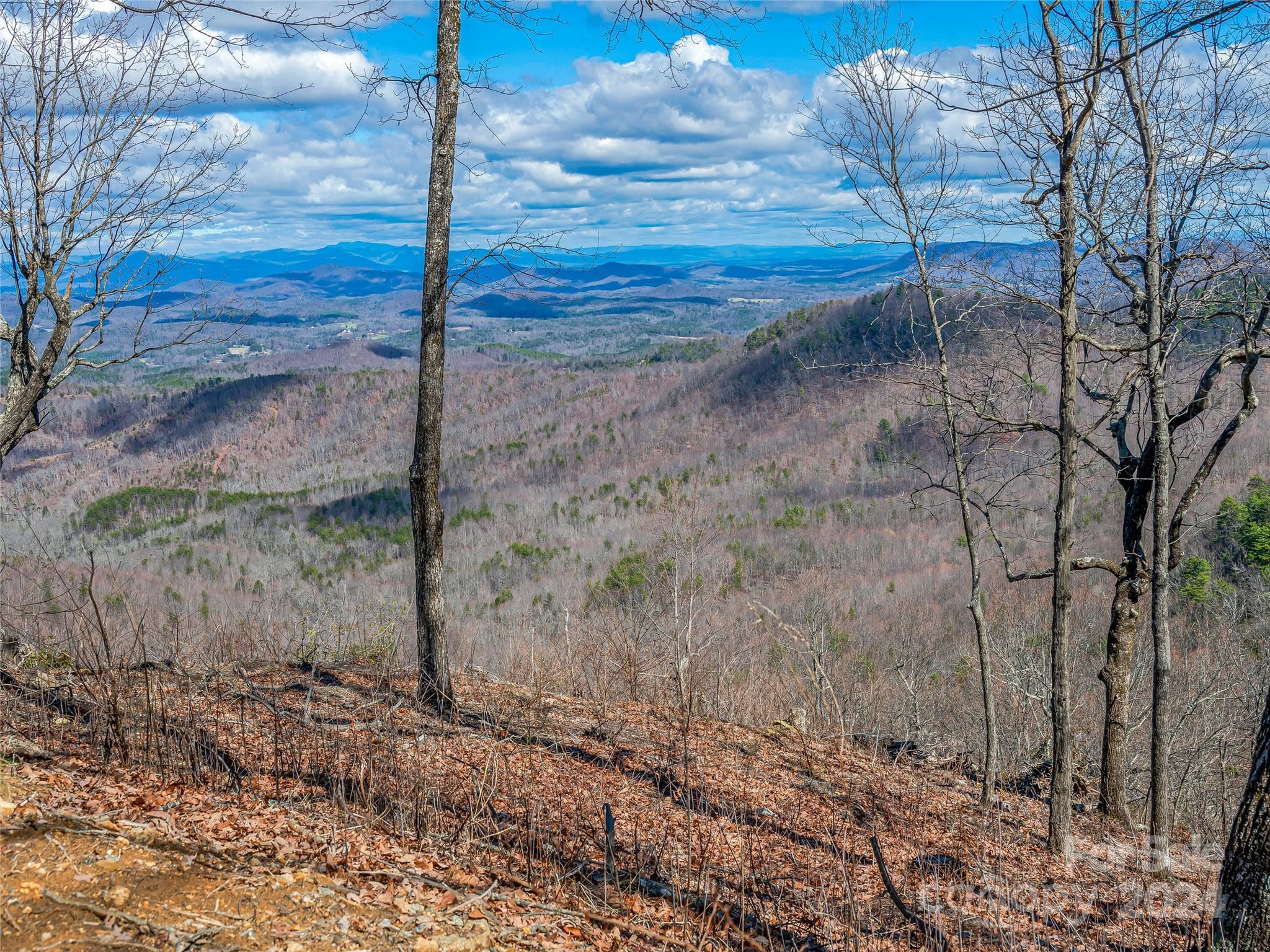 0 Devin Ridge Ln Union Mills, Unit 96 Union Mills, NC 28167 - Photo 6 of 30 a view of a dry yard with wooden fence