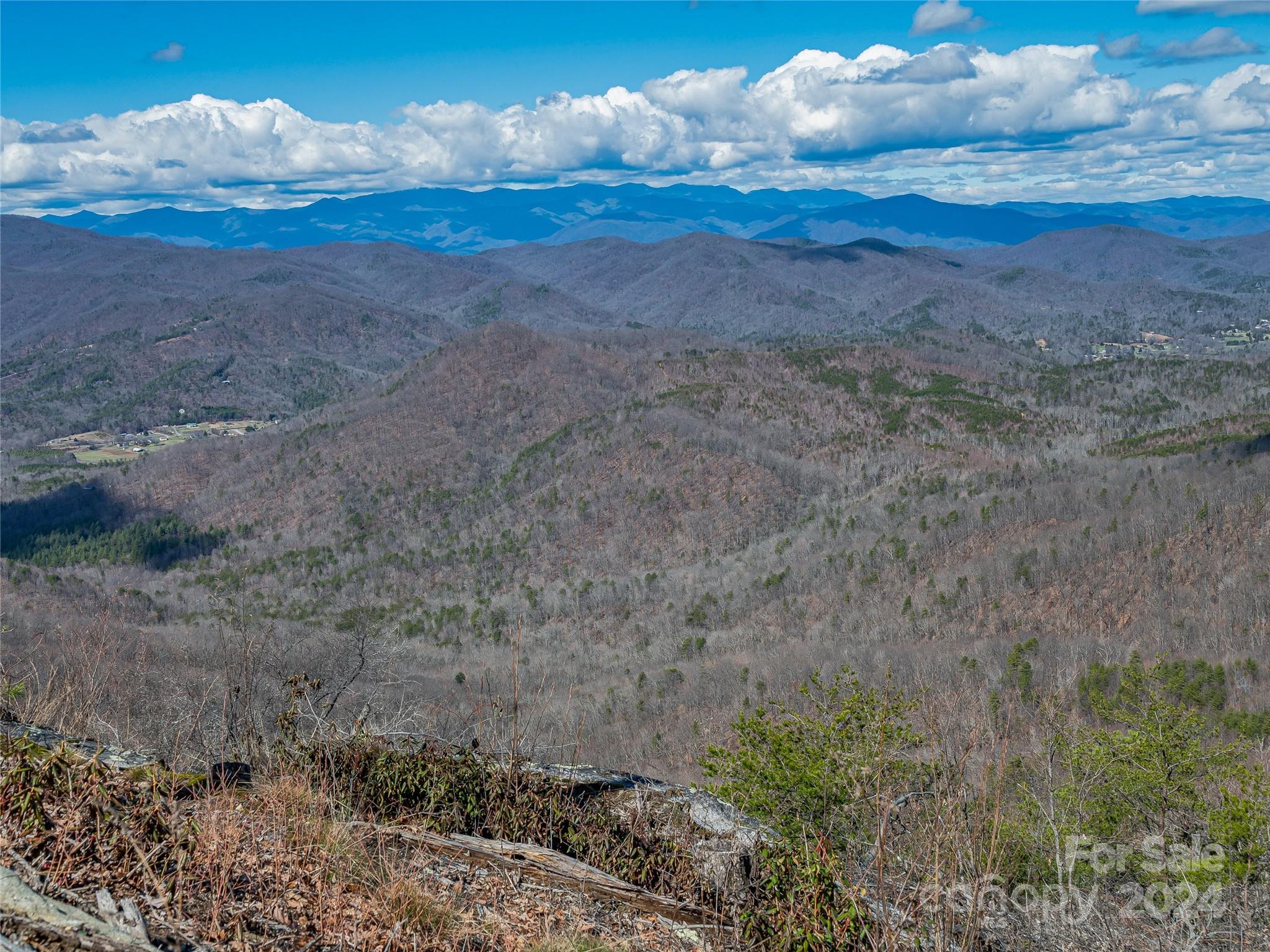 0 Devin Ridge Ln Union Mills, Unit 96 Union Mills, NC 28167 - Photo 7 of 30 a view of a dry yard