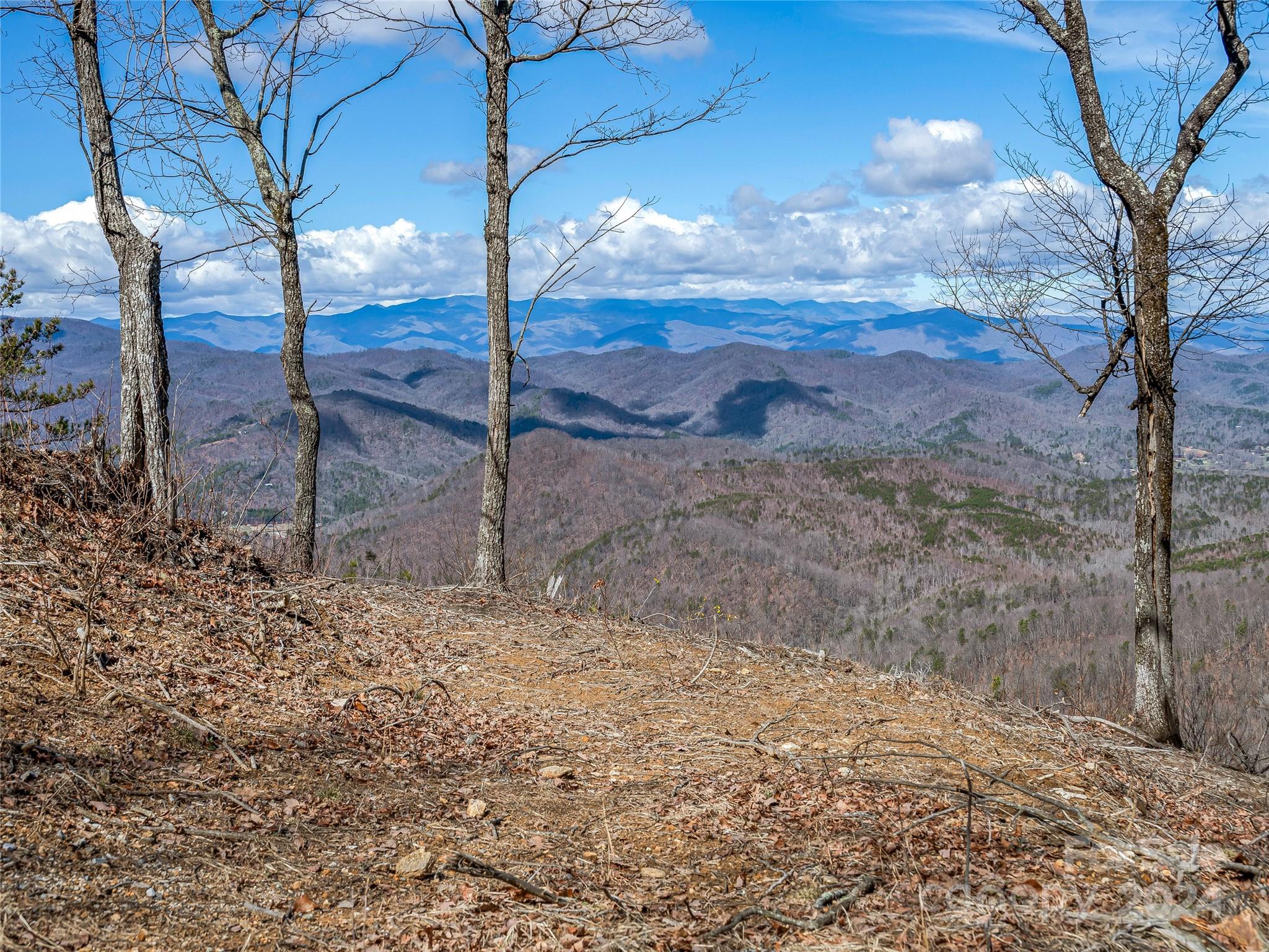 0 Devin Ridge Ln Union Mills, Unit 96 Union Mills, NC 28167 - Photo 10 of 30 a view of a yard with a tree