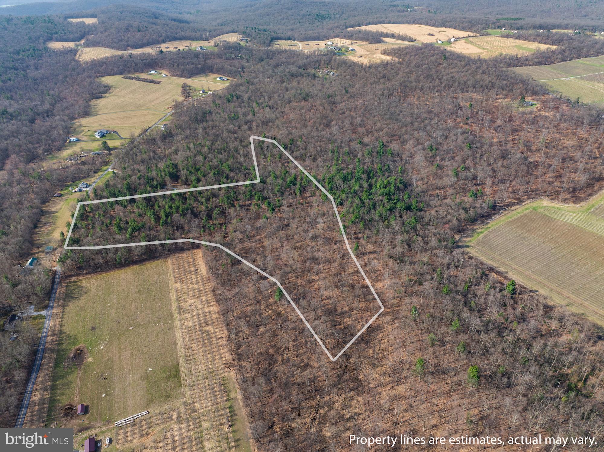 175 Moritz Road Orrtanna, PA 17353 - Photo 3 of 5 a view of a backyard