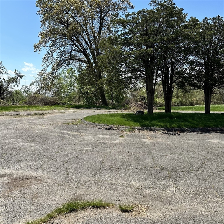 308 Maple Street Springfield, MA 01105 - Photo 12 of 15 a view of a field with trees