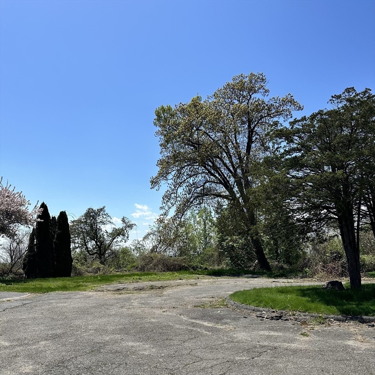 308 Maple Street Springfield, MA 01105 - Photo 2 of 15 a view of a field