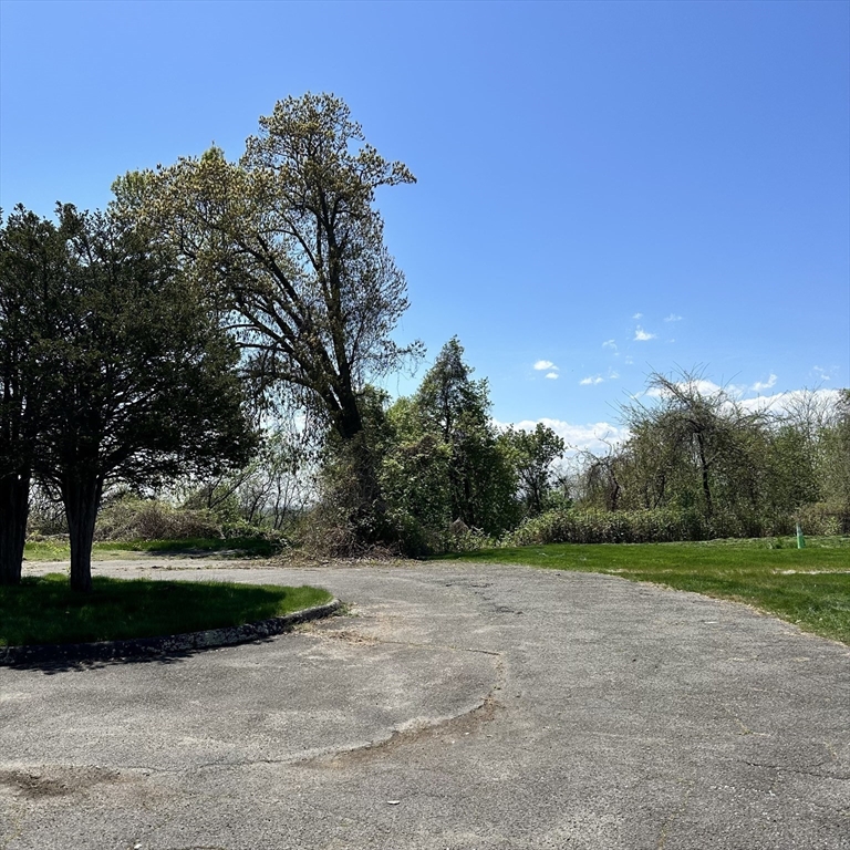 308 Maple Street Springfield, MA 01105 - Photo 3 of 15 a view of a park