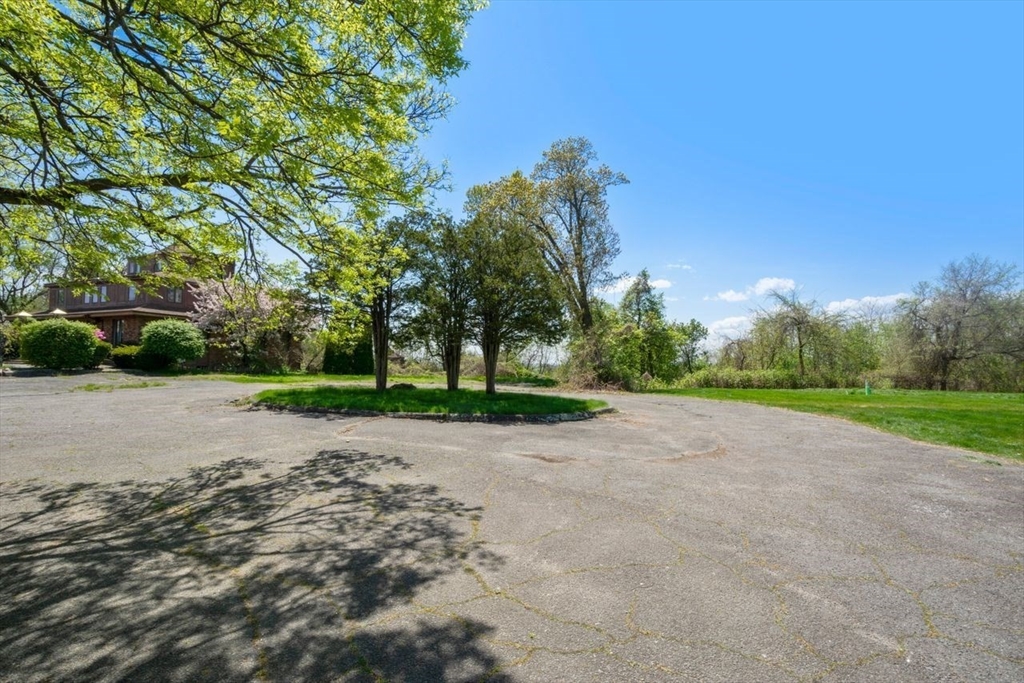 308 Maple Street Springfield, MA 01105 - Photo 7 of 15 a view of a street with a yard