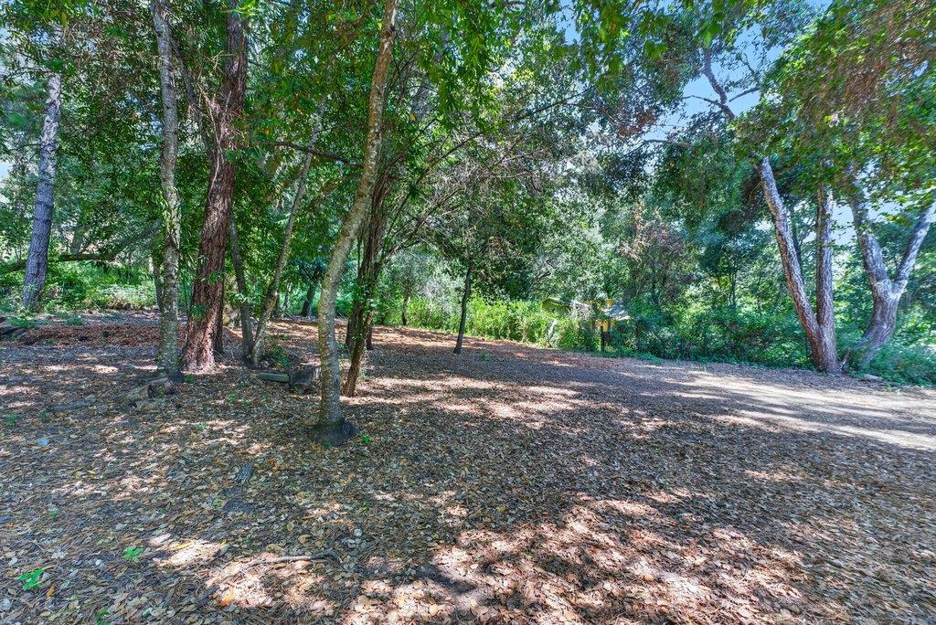 8484 East Zayante Road Felton, CA 95018 - Photo 50 of 58