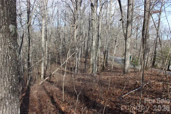 a backyard of a house with lots of plants and large trees