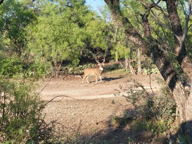 $415,000 | 14213 East Us Highway, Fort McKavett, TX 76841