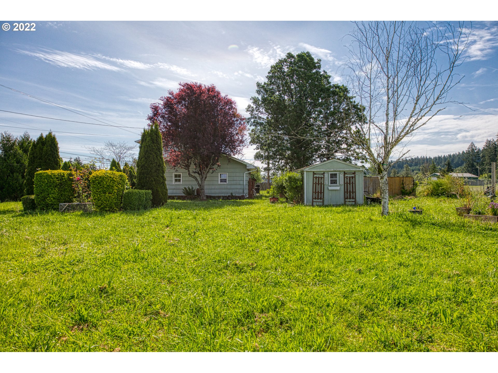 37032 Immigrant Road Pleasant Hill, OR 97455 - Photo 10 of 31 Gallery Image 10