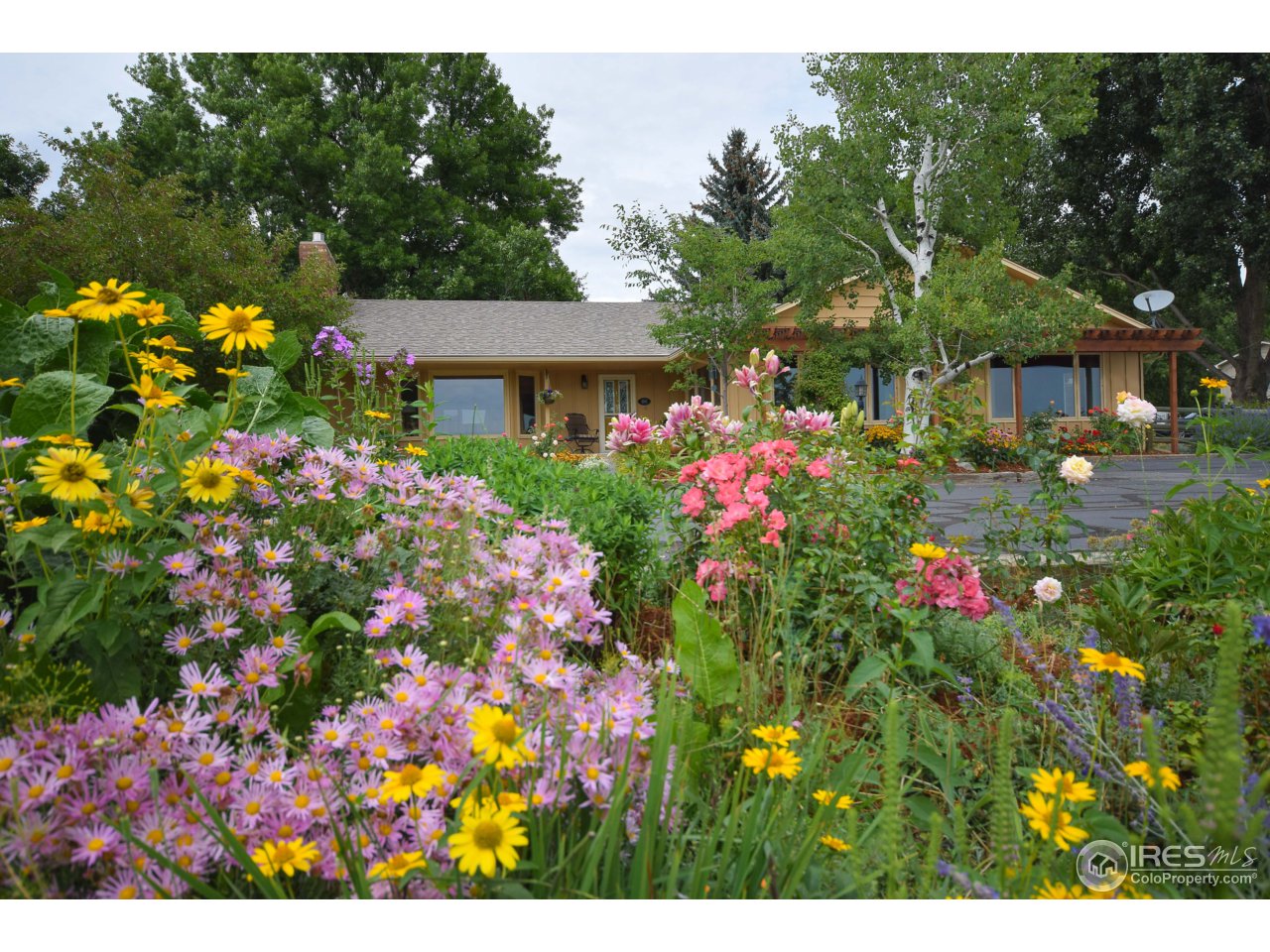 3501 Bayshore Road Fort Collins, CO 80524 - Photo 4 of 25 a view of a house with a flower garden
