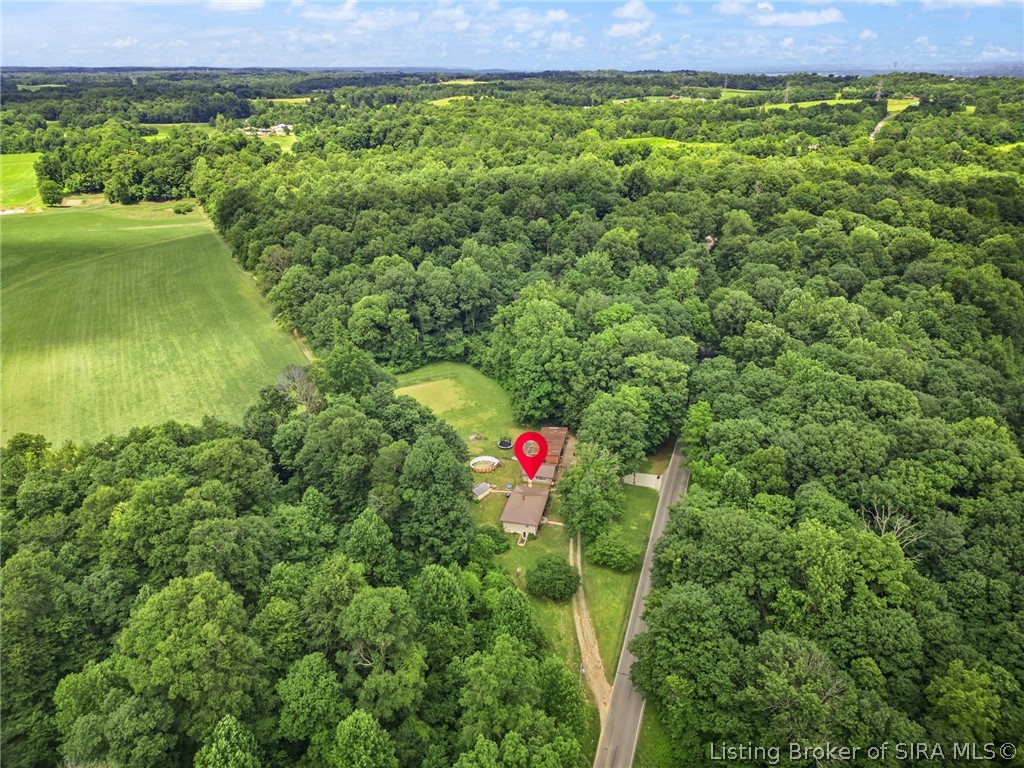 3995 Doolittle Hill Road Southeast Elizabeth, IN 47117 - Photo 5 of 50