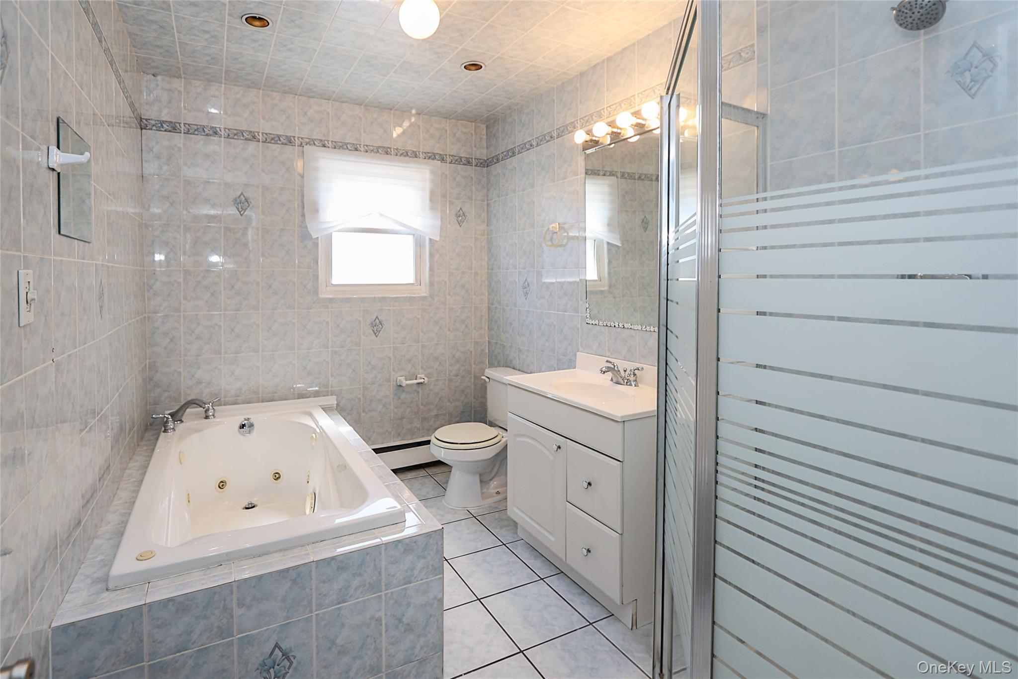 874 Seamans Nck Road Wantagh, NY 11793 - Photo 25 of 39 a bathroom with a sink a toilet and shower