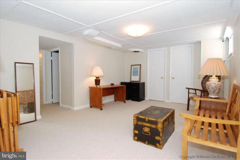 10309 Cherry Tree Lane Silver Spring, MD 20901 - Photo 16 of 17 Recreation Room