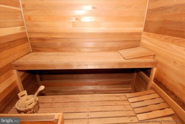 10309 Cherry Tree Lane Silver Spring, MD 20901 - Photo 17 of 17 Lower-level sauna!