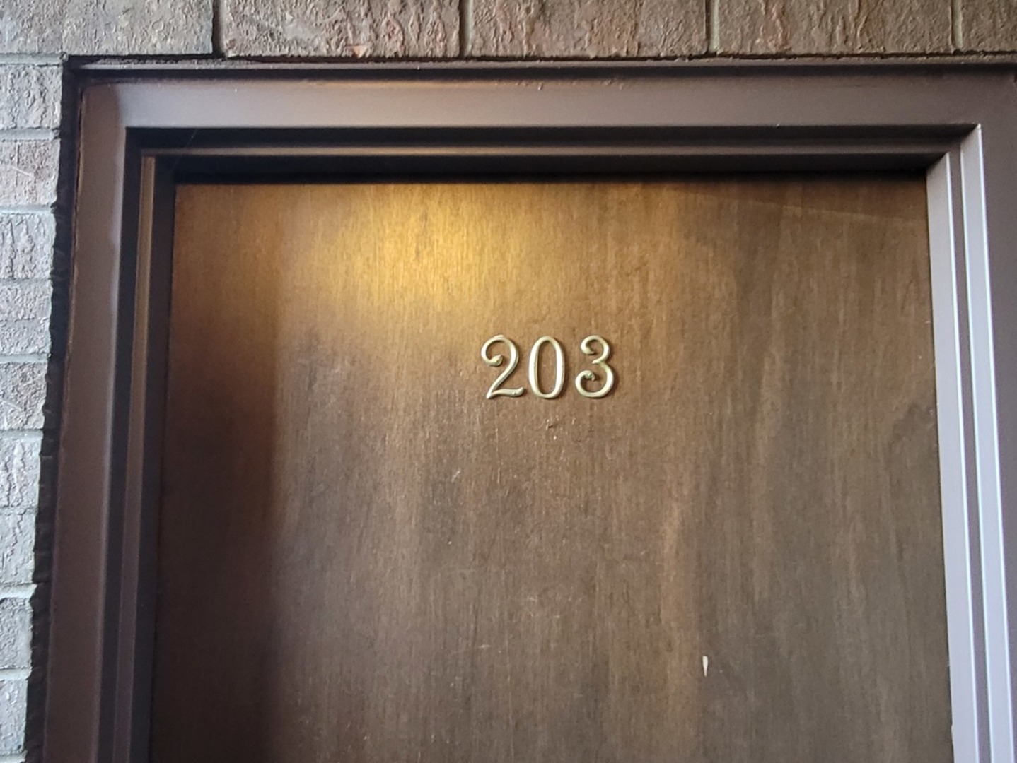 566 Timber Ridge Drive, Unit 203 Carol Stream, IL 60188 - Photo 2 of 17 a close view of door