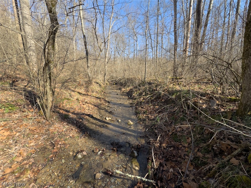 0 Clem Garvin Road Caldwell, OH 43724 - Photo 23 of 50 View of nature
