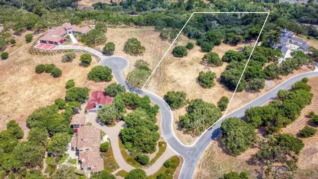 a picture of flowers in the water